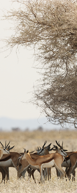 Local Educational Tours